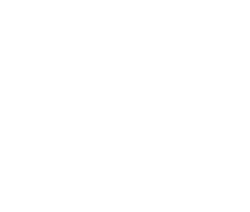 Saling millenium hall parties icon