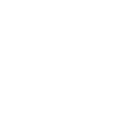 swallow icon